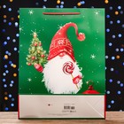 Пакет подарочный "Подарочек",  33 х 42,5 х 10 см - фото 25479758