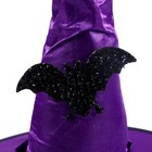 Карнавальный набор «Магия», шляпа фиолетовая, метла, мешок - Фото 3