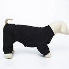 Одежда для собак. Комбинезон однотонный чёрный, L (ДС 39, ОШ 36-38, ОГ 60-62) - фото 23134743