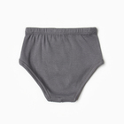 Трусы для мальчика, цвет муссон, рост 80 см (48) - фото 24720297