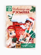 Чай новогодний в пакетиках «Новогодняя посылка» в конверте, 7.2 г (4 шт.×1.8 г) - Фото 9