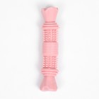 Игрушка для собак "Шипастая кость", TPR, массажная,14 х 3,5 х 5, розовая - фото 7581285
