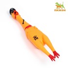 Игрушка пищащая "Курица-пират" для собак, 41 см, жёлтая - фото 320275323