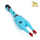 Игрушка пищащая "Курица-пират" для собак, 41 см, голубая - фото 320275326
