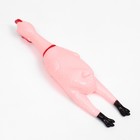 Игрушка пищащая "Курица светящаяся" для собак, 28 см, розовая - Фото 3