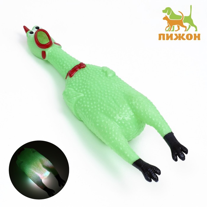 Игрушка пищащая "Курица светящаяся" для собак, 28 см, зелёная - фото 285027016