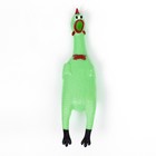 Игрушка пищащая "Курица светящаяся" для собак, 28 см, зелёная - Фото 2