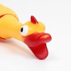 Игрушка пищащая "Гусь" для собак, 28 см, жёлтая - фото 24651576
