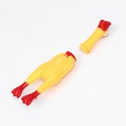 Игрушка пищащая "Гусь" для собак, 28 см, жёлтая - фото 24651578