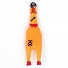 Игрушка пищащая "Курица пират" для собак, 16,5 см, жёлтая - фото 7581334