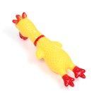 Игрушка пищащая "Петух" для собак, 16 см, желтая - фото 7581340