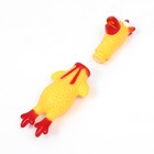 Игрушка пищащая "Петух" для собак, 16 см, желтая - фото 7581341