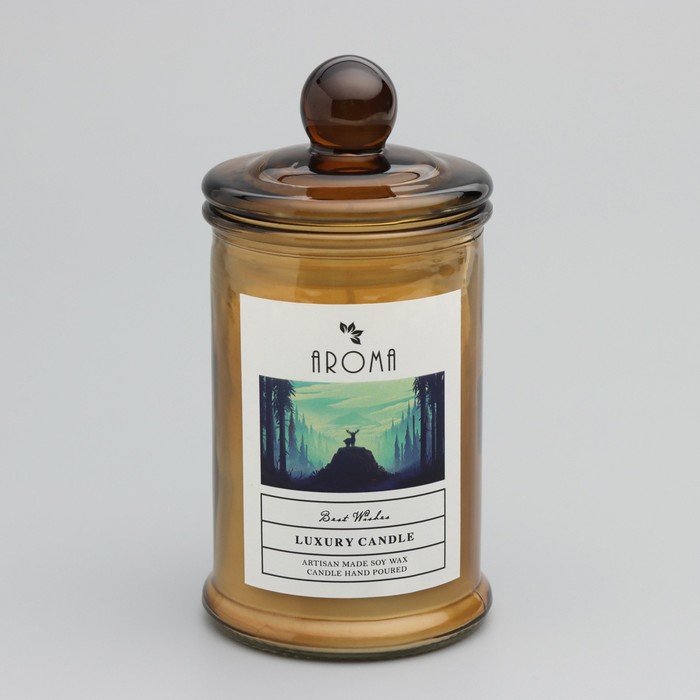 Свеча ароматическая в банке  "Цветущий жасмин", 40ч, 95 гр, в коробке - фото 1909334897