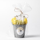 Набор новогодний подарочный Доляна «Олени» : полотенце 30×60, лопатка, кисть, губка - Фото 6