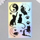 Голографические наклейки (стикеры) "Коты" 10х15 см, 5-200 - Фото 1