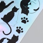 Голографические наклейки (стикеры) "Коты" 10х15 см, 5-200 - Фото 2