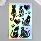 Голографические наклейки (стикеры) "Коты" 10х15 см, 5-201 - Фото 1