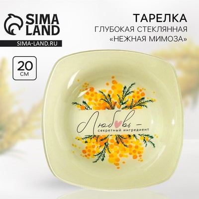 Тарелка суповая стеклянная «Секретный ингредиент», 20×20 см