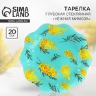 Тарелка стеклянная «Нежная мимоза», 23 см - Фото 1