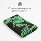Полотенце махровое Этель «Тиранозавр», 70х130 см, 100% хлопок, 420 г/м2 9867010 - фото 14241472