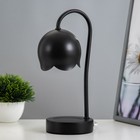 Настольная лампа "Свелл" G9 40Вт черный 11х11х28 см RISALUX - фото 320378867