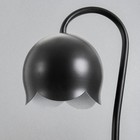 Настольная лампа "Свелл" G9 40Вт черный 11х11х28 см RISALUX - Фото 5