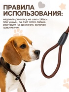 Ринговка для собак, 130×1 см, коричневая - Фото 3