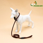 Ринговка для собак, 130×1 см, коричневая - Фото 4