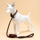 Ринговка для собак, 130×1 см, коричневая - Фото 7