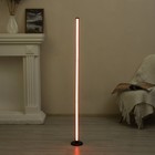 Торшер с ПДУ "Этерес" LED RGB черный 12х12х124 см 9215221