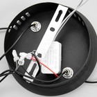 Светильник "Овал" LED 21Вт 4000К черный 14х3х41,5см BayerLux - Фото 12
