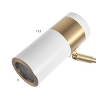 Бра «Техно», Е27, 40 Вт, 21×10×38 см, белый/золотой - фото 24664205