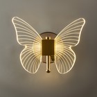 Бра «Бабочка» LED 12 Вт 3000К золото 23×17.5×11 см - Фото 2