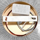 Бра «Пион» LED 4 Вт 4000К золото 20×9×18 см - Фото 7