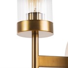 Бра «Орландо», Е27, 40 Вт, 16×12×44 см, золото - фото 22986370