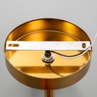 Бра «Орландо», Е27, 40 Вт, 16×12×44 см, золото - фото 22986372