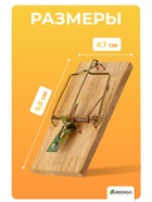 Мышеловка, 8×5 см, дерево, Greengo - Фото 2