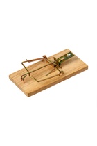 Мышеловка, 8×5 см, дерево, Greengo - Фото 6