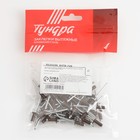 Заклёпки ТУНДРА krep, вытяжные, алюминий-сталь, 4×10 мм, темно-коричневые, 50 шт. - Фото 4