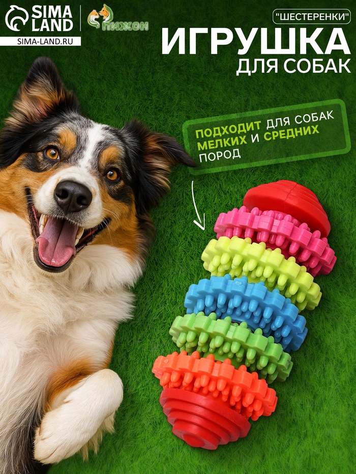 Игрушка для собак литая «Шестеренки», 10 см, 5 вращающихся колец, TPR, МИКС - Фото 1