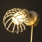 Бра с переключателем на проводе "Бьянка" Е14 40Вт белый 17х11х17см - фото 23051389