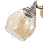 Бра "Авета" Е27 40Вт золото 21х12х18см 9626443