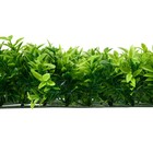 Декоративная панель, 60 × 40 см, «Высокая трава с цветами», Greengo - фото 7712127