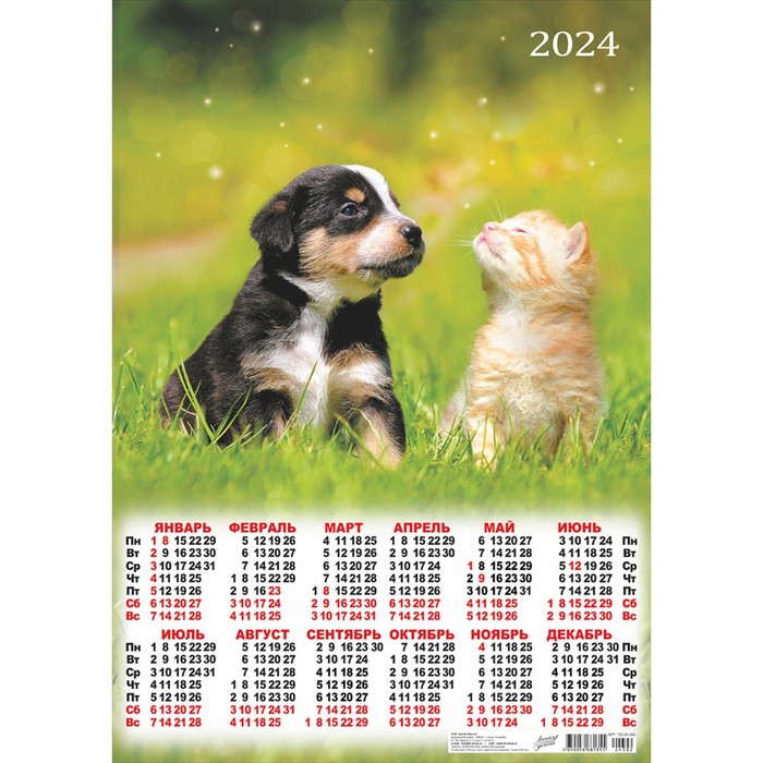 Календарь листовой "Котята и щенки - 2" 2024 год, 42х60 см, А2 - Фото 1