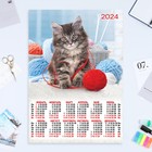 Календарь листовой "Кошки - 3" 2024 год, 42х60 см, А2 - фото 11256964