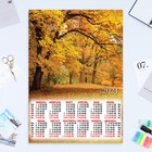 Календарь листовой "Природа - 9" 2024 год, 42х60 см, А2 - фото 11256985