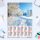 Календарь листовой "Природа - 12" 2024 год, 42х60 см, А2 - фото 11256988