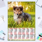 Календарь листовой "Собаки - 3" 2024 год, 42х60 см, А2 - фото 11256998