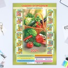 Календарь листовой "Сад и огород - 1" 2024 год, 30х42 см, А3 - фото 11257013