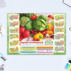 Календарь листовой "Сад и огород - 3" 2024 год, 30х42 см, А3 - фото 11257015